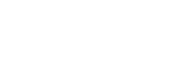 Logo Promo